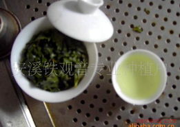 铁观音饮品加盟连锁火爆招商中 全球加盟网jiameng.com