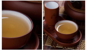 九洲韵 安溪铁观音 茶叶 浓香型 光武中兴 精品礼盒装468g