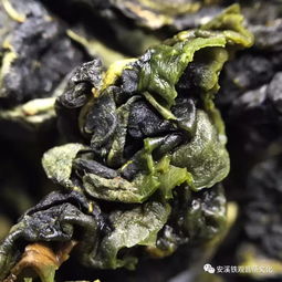 茶道 周五福利日,安溪铁观音送给你