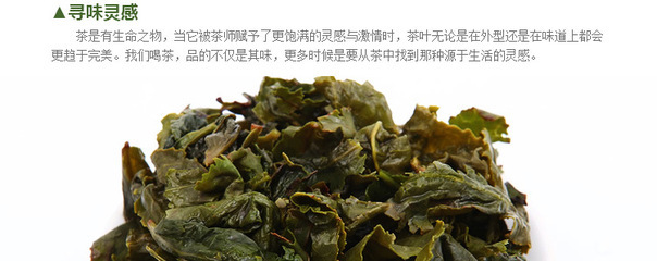 八斗茗茶 正味安溪铁观音王特级茶叶 福建乌龙茶的秋日馈赠