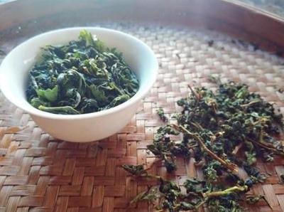 安溪铁观音 一杯清雅，品味千年茶韵