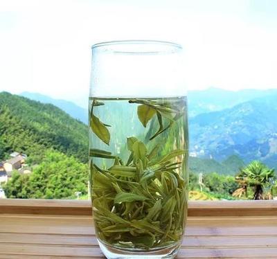 安溪铁观音 中国十大名茶中的闽南瑰宝