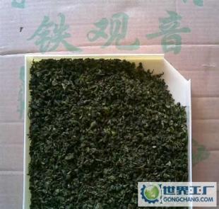 安溪铁观音 品味颗粒饱满、叶片厚实的顶级乌龙茶