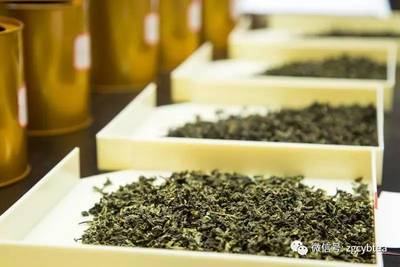 安溪铁观音大师赛20强出炉，巅峰对决开启茶界新篇章